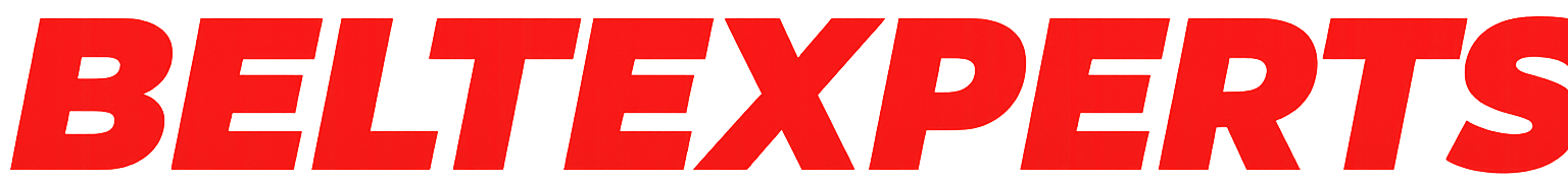 BELTEXPERTS Logo
